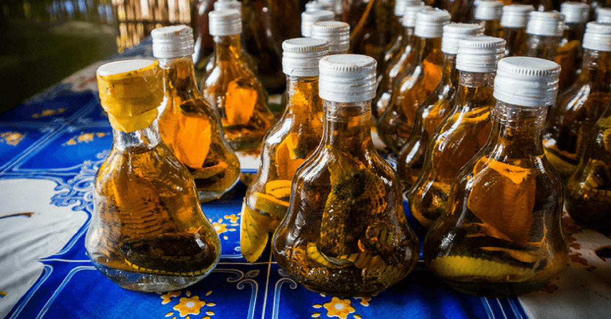 a jar of snake wine