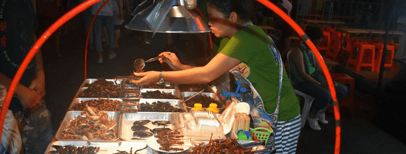 Some bugs at a night market in Thailand!