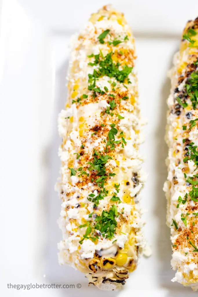 A cob of mexican street corn with cheese, chili powder, and cilantro.