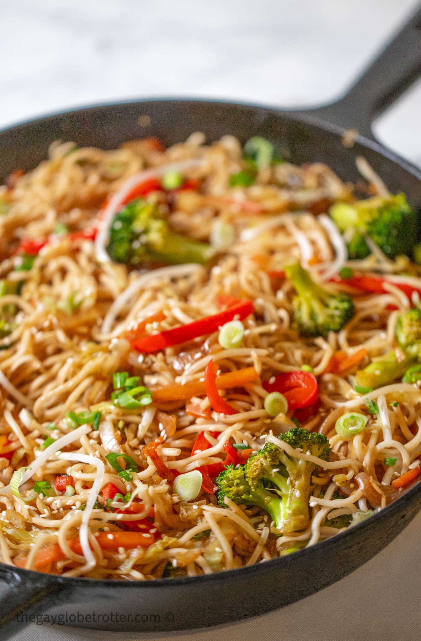 Vegetable Lo Mein {In 20 Minutes!} - The Gay Globetrotter