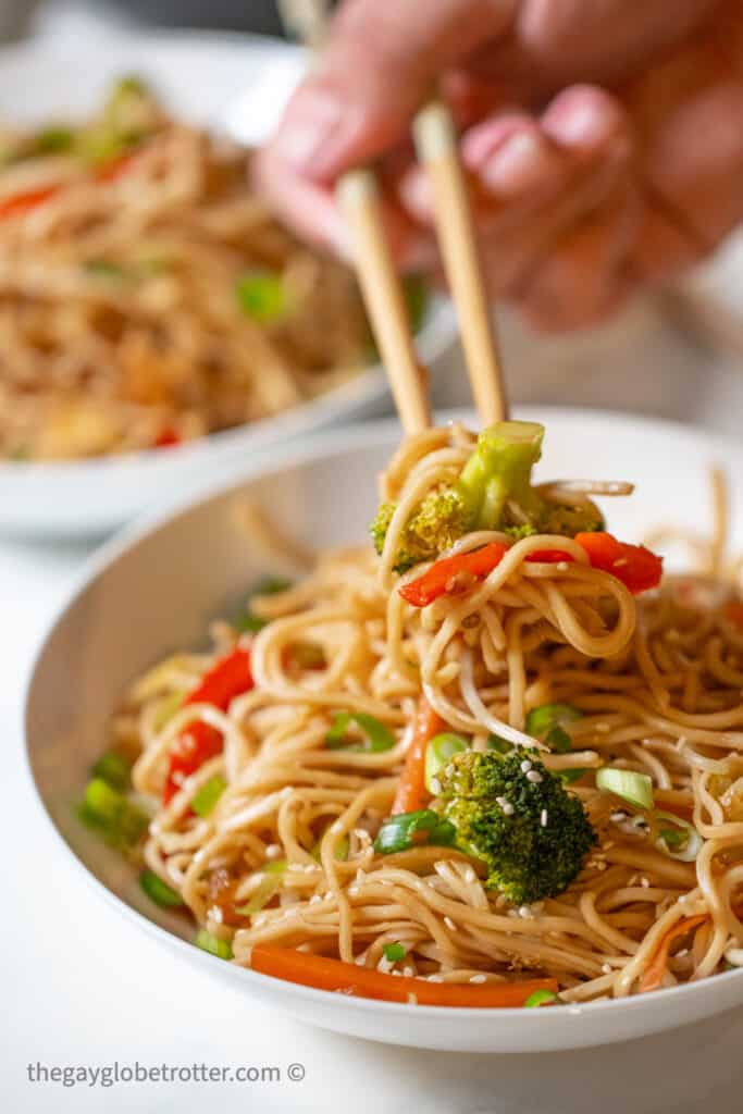 Vegetable Lo Mein {In 20 Minutes!} - The Gay Globetrotter